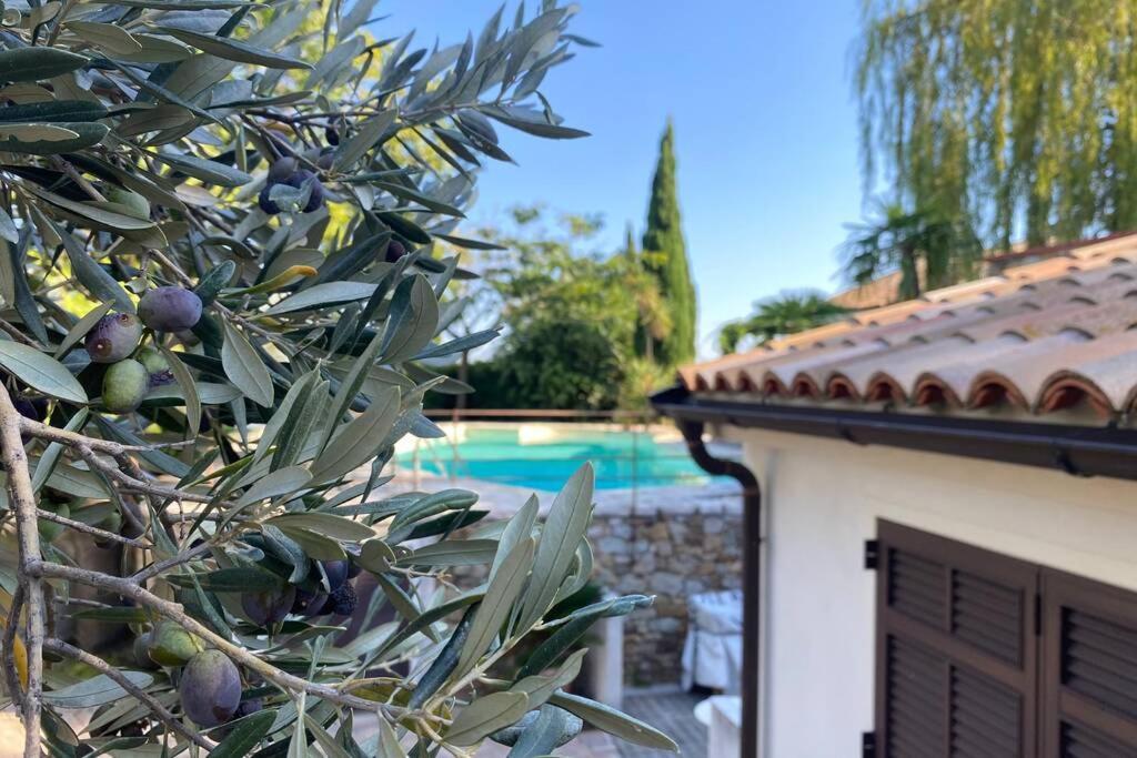 Relais San Sebastiano Holiday home Pietra Ligure